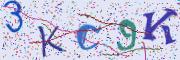 Beeld-CAPTCHA